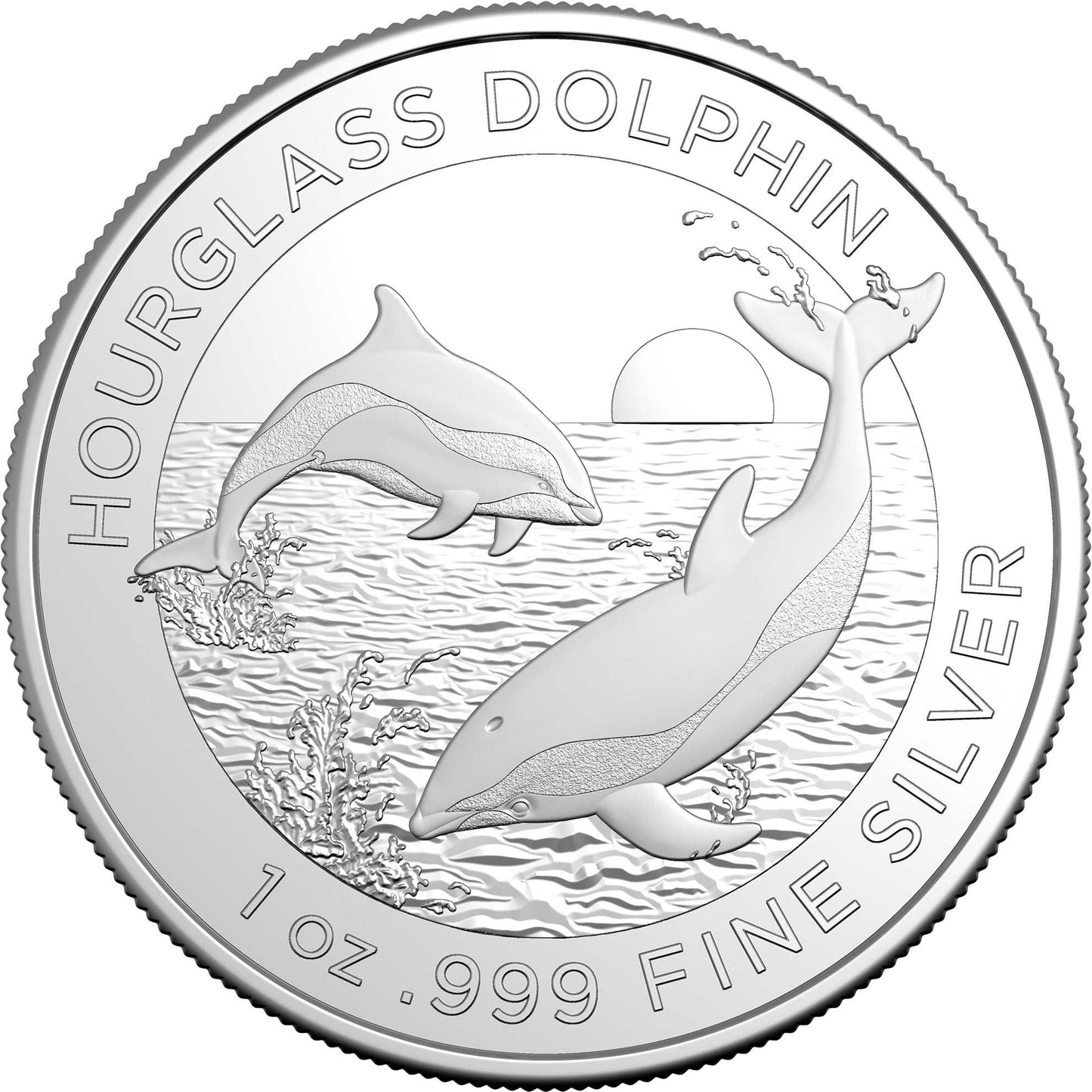 Hourglass Dolphin, 1oz Silbermünze* BU 2024