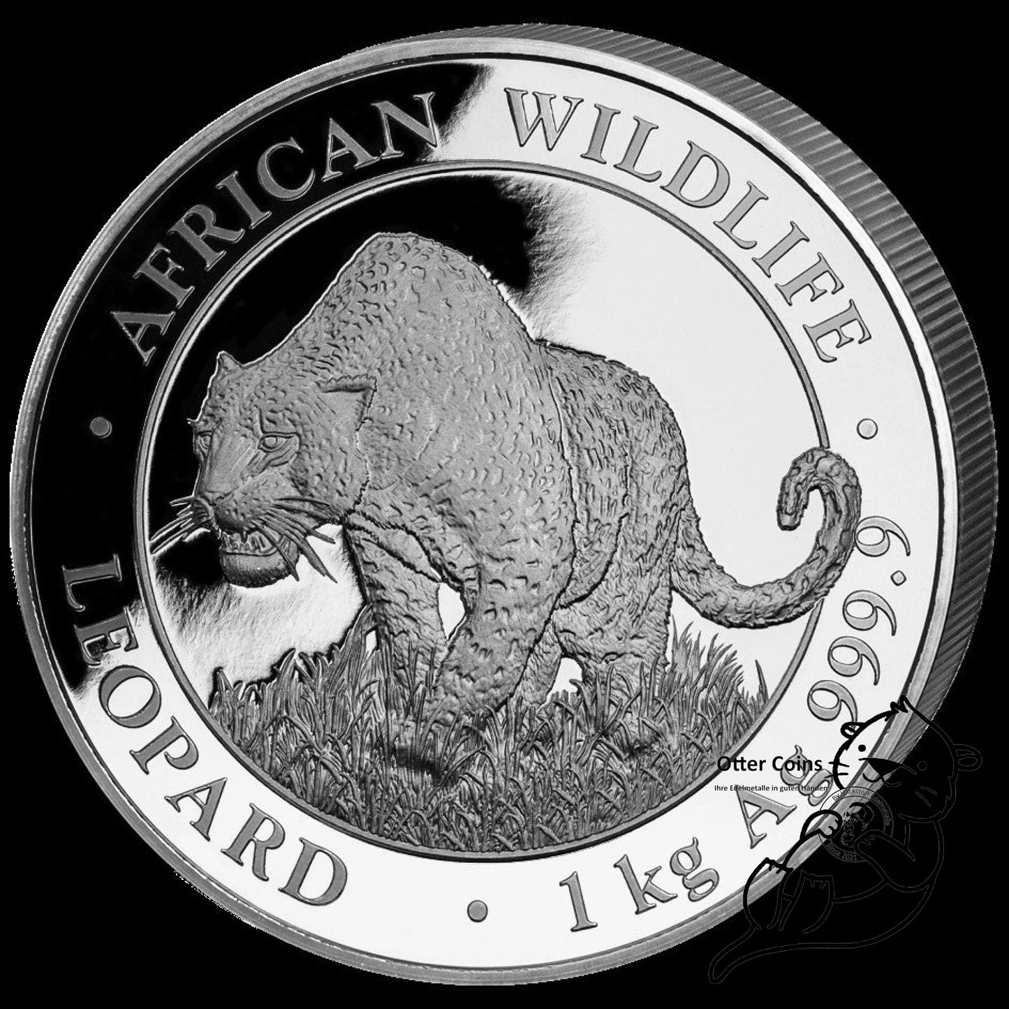 Somalia Leopard 1 kg Silbermünze 2023