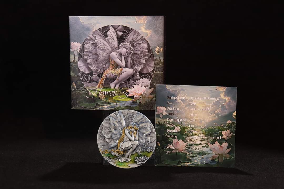 Cameroon Fairy in Magicland 2025, HR, Antik, Glow 2oz Silbermünze***