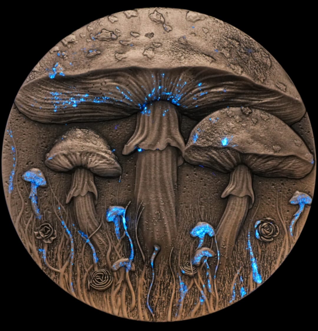 Cameroon Magic Mushroom 2025 HR Antik Color Glow in the