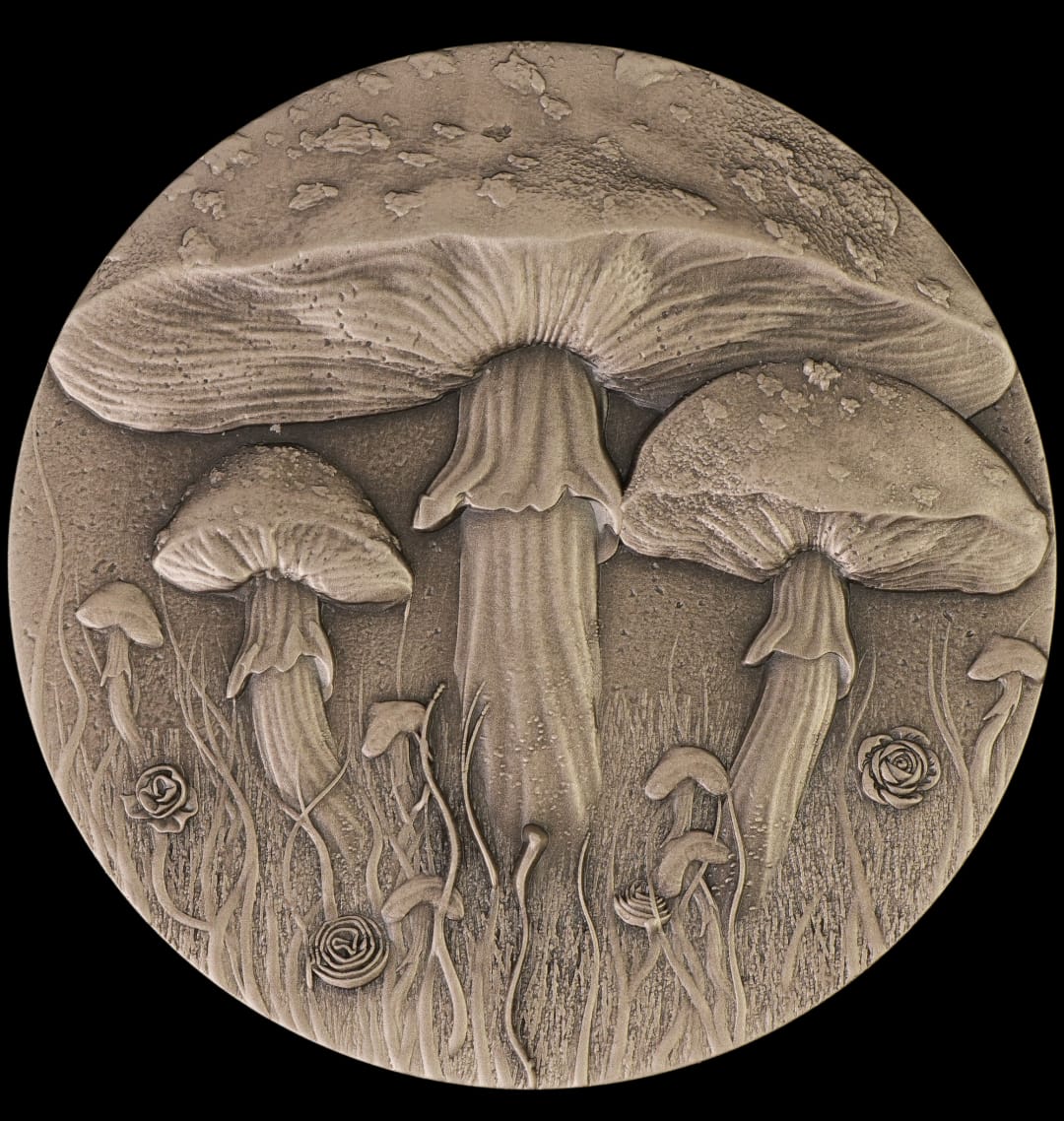 Cameroon Magic Mushroom 2025 HR Antik Color Glow in the