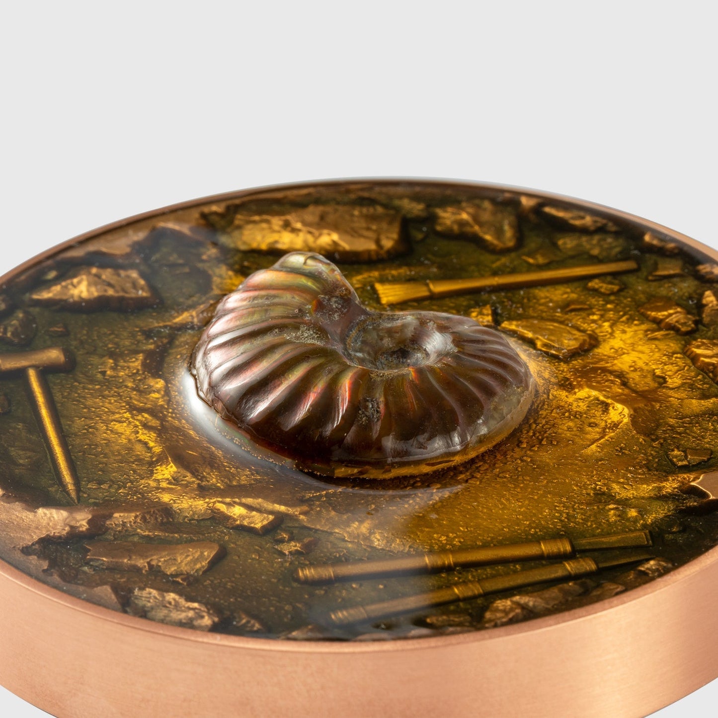 Chad 2023 Ammonite Fossil 1oz Silbermünze *