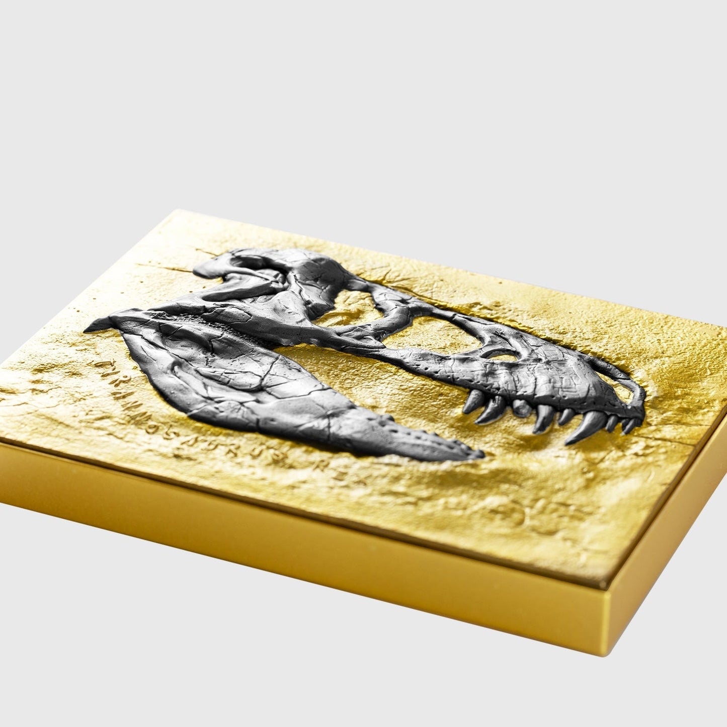 Chad 2023 T - Rex Fossil Gilded Silbermünze *