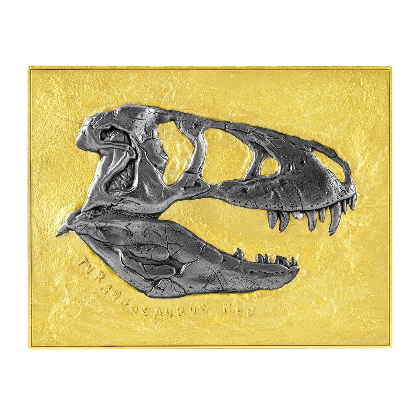 Chad 2023 T - Rex Fossil Gilded Silbermünze *