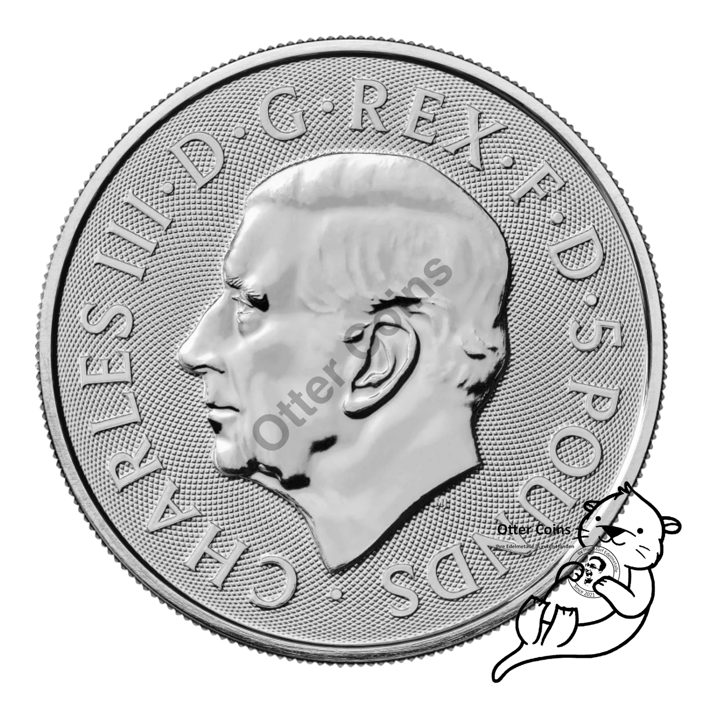 Black Bull of Clarence 2 Oz Silbermünze 2023*