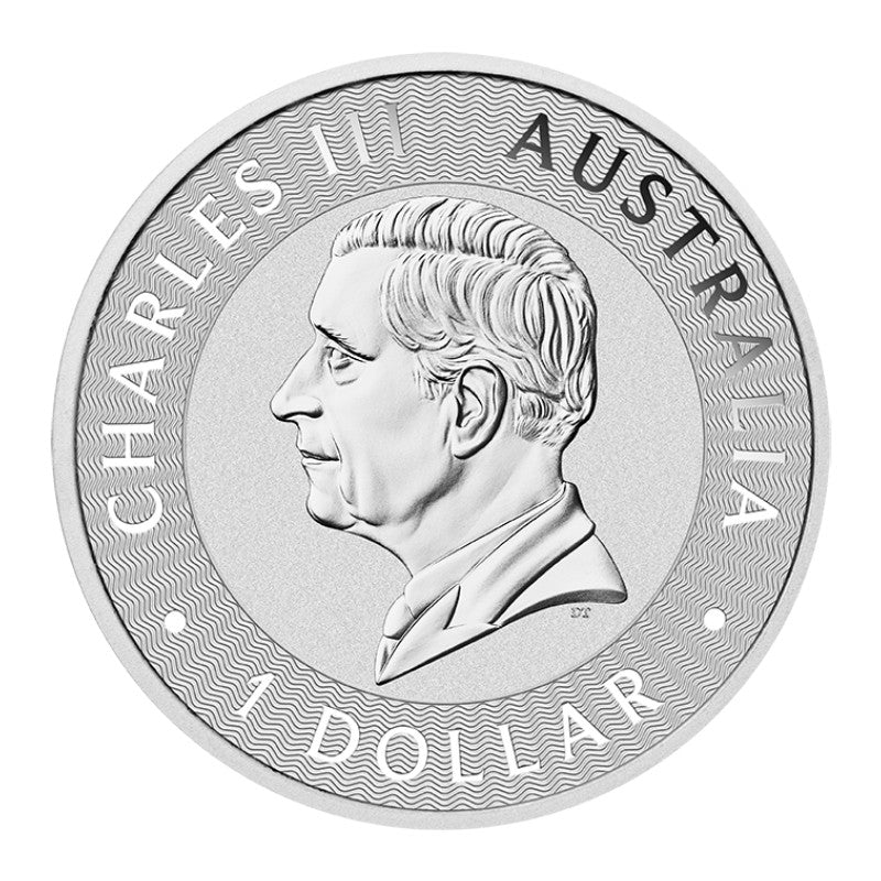 Känguru 1oz Silbermünze 2024*