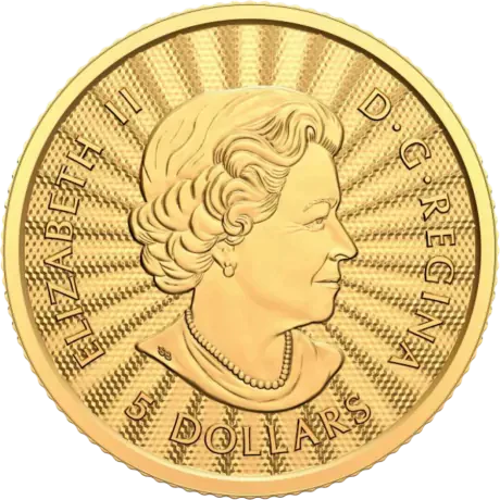 Majestic Polar Bear 2022 1/10oz Gold**