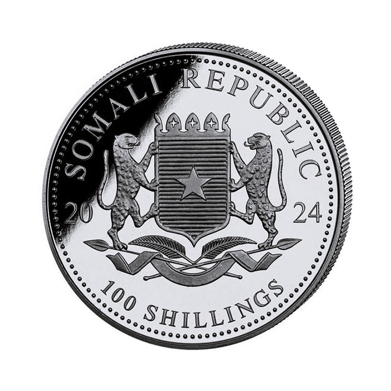 Somalia Leopard 1 oz Silbermünze 2024*