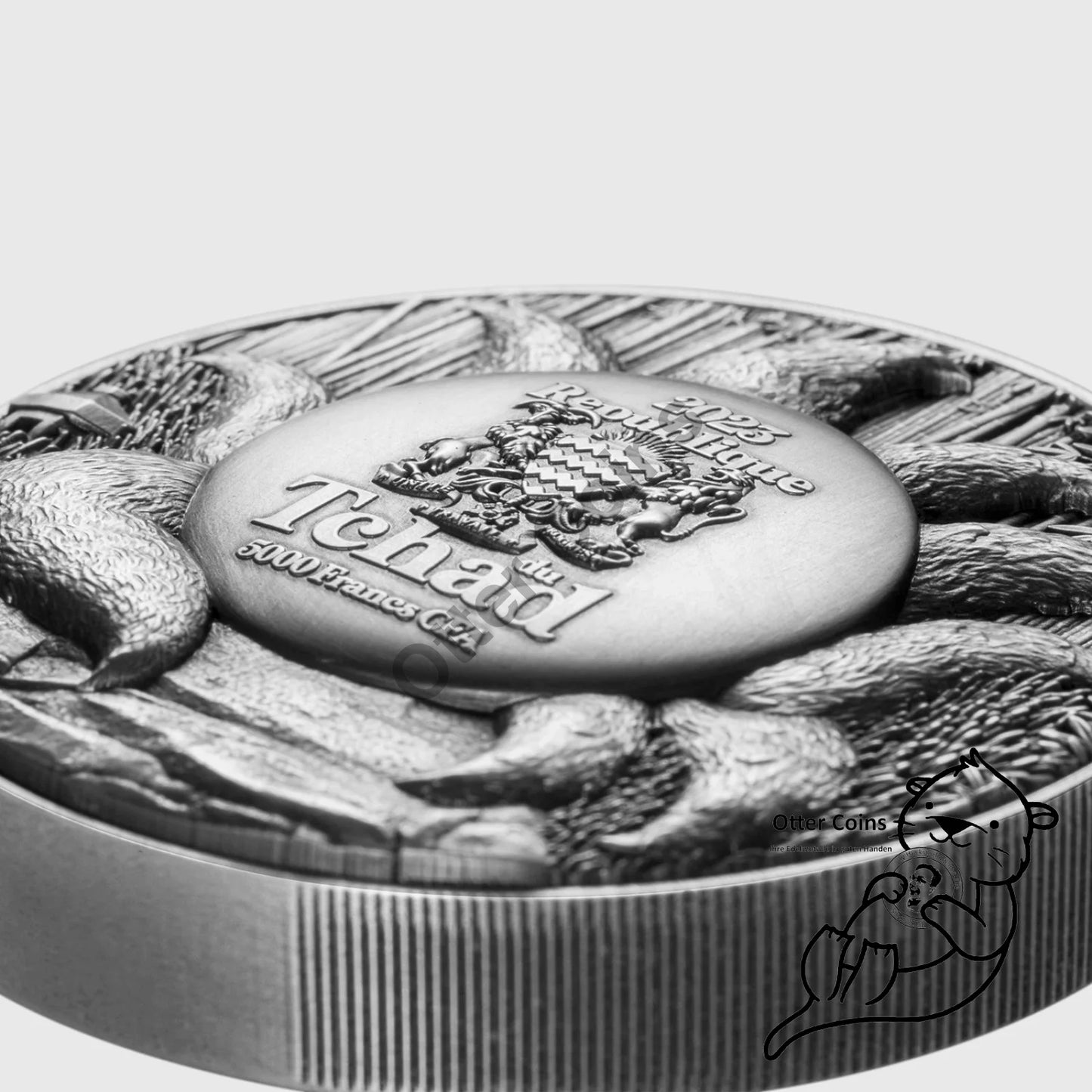 The Nine Tailed Fox 2023 1oz Silbermünze*