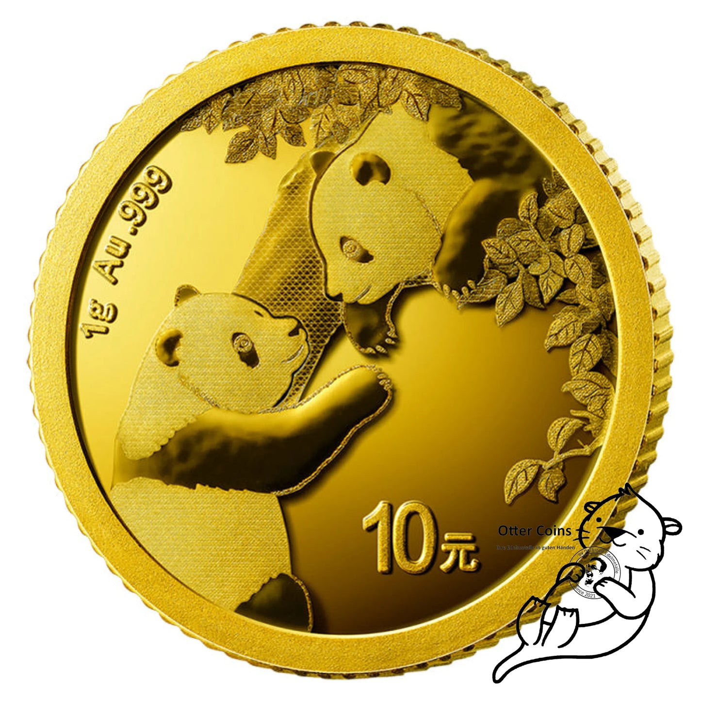 China Panda 1 Gramm Goldmünze 2023**