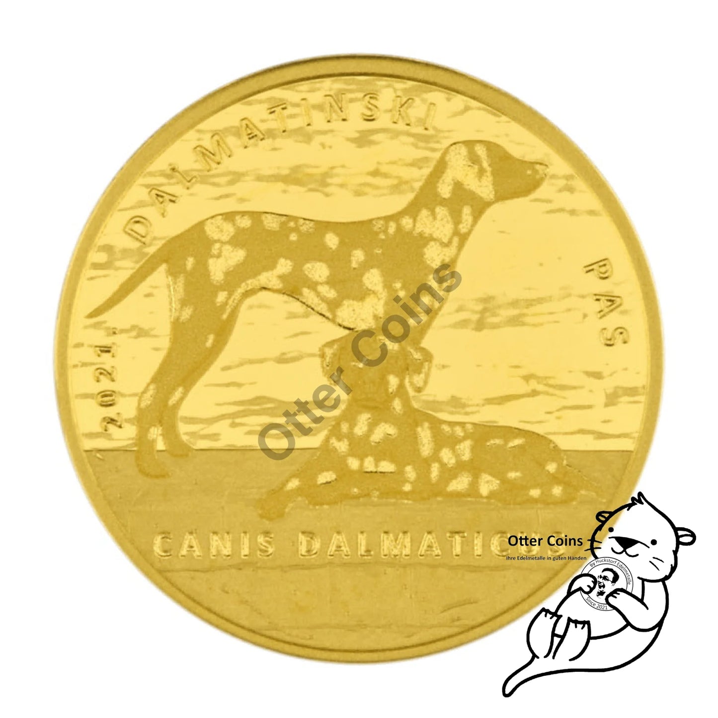 Dalmatiner Dog Authochthonous Crotias Goldmünze Kroatien