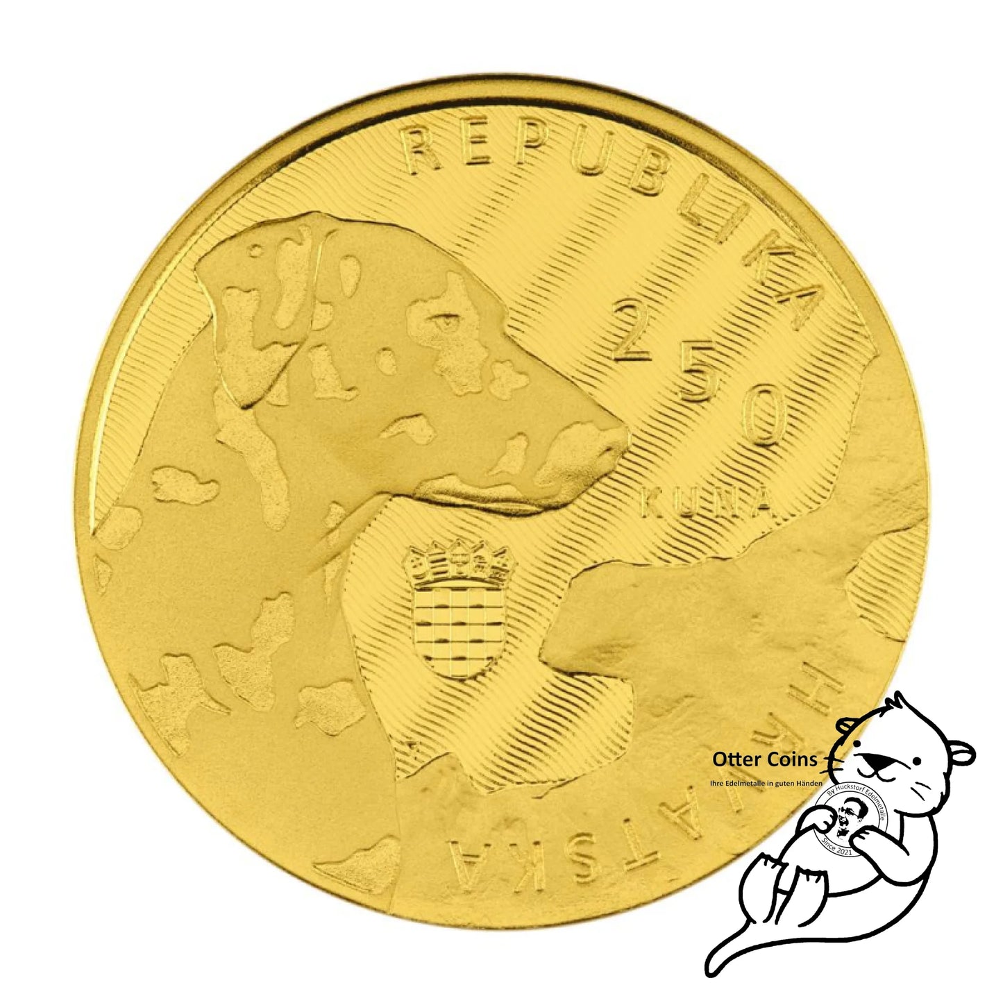 Dalmatiner Dog Authochthonous Crotias Goldmünze Kroatien