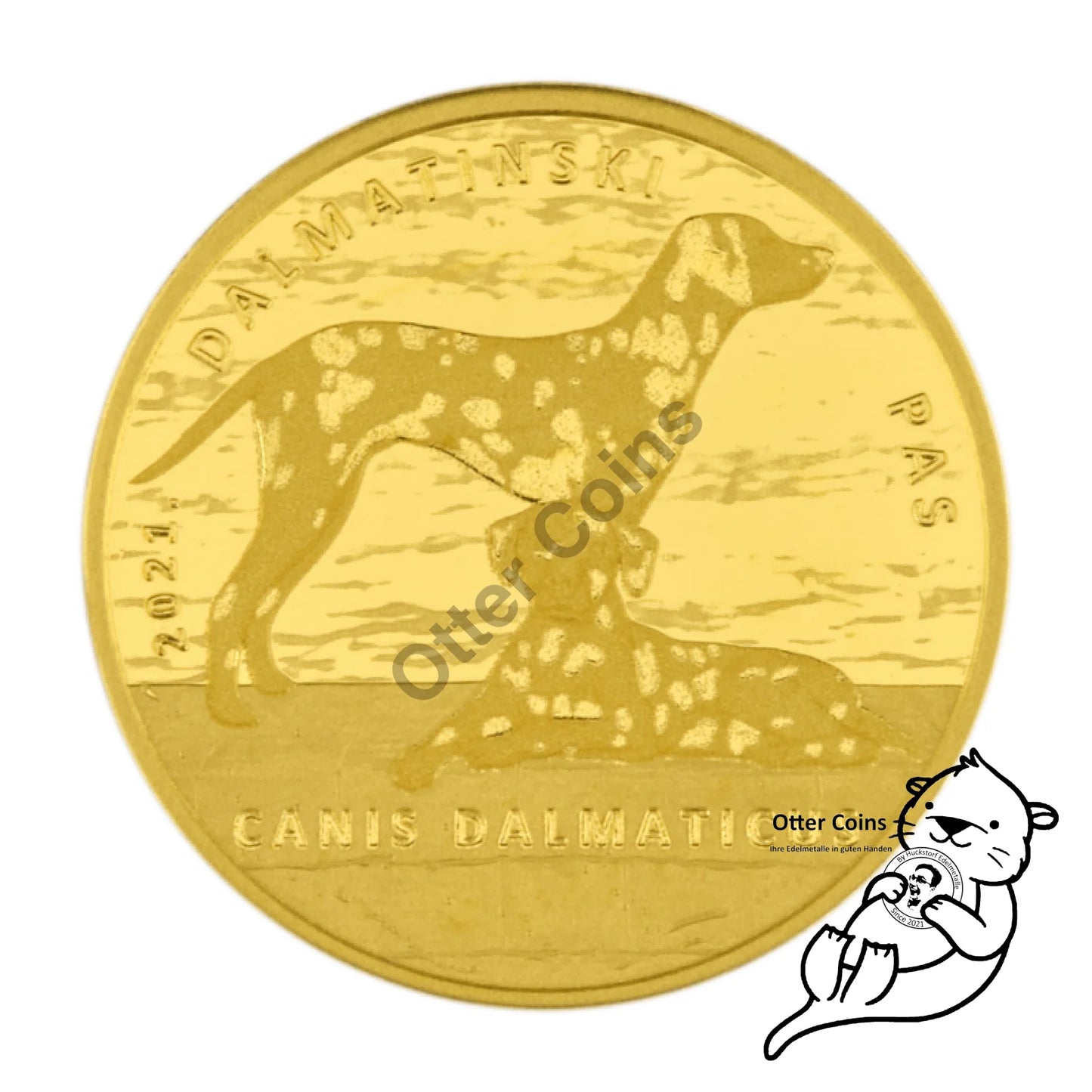 Dalmatiner Dog Authochthonous Crotias Goldmünze Kroatien