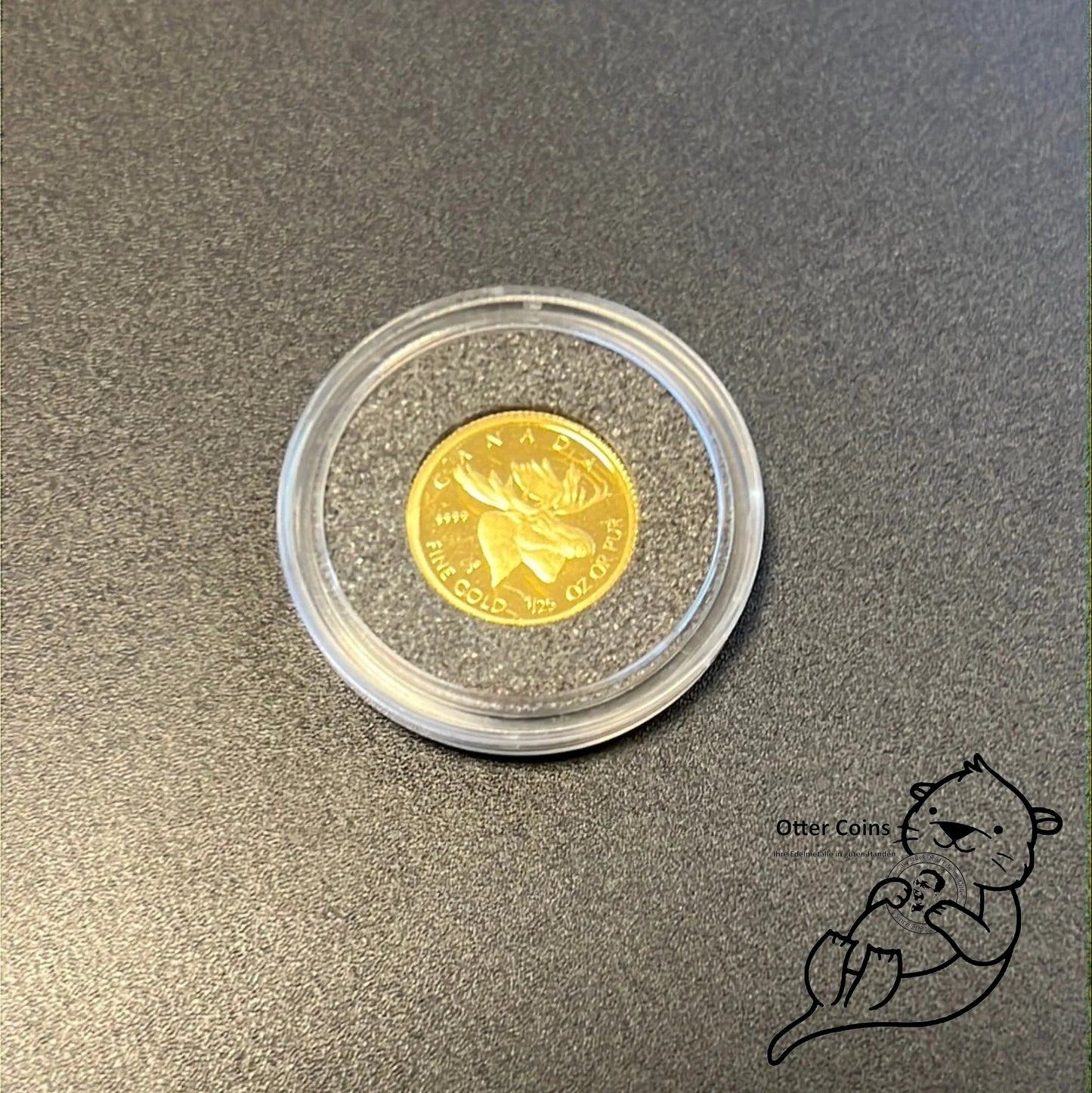 Canada Elch 1/25oz Goldmünze 2004**