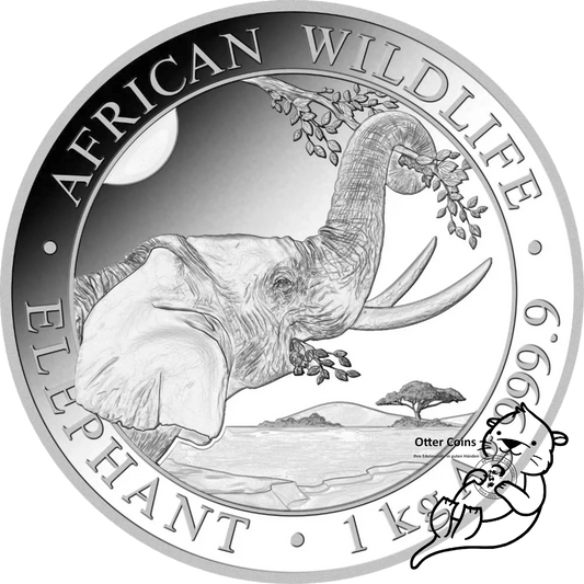 Somalia Elefant 1 kg Silbermünze 2023