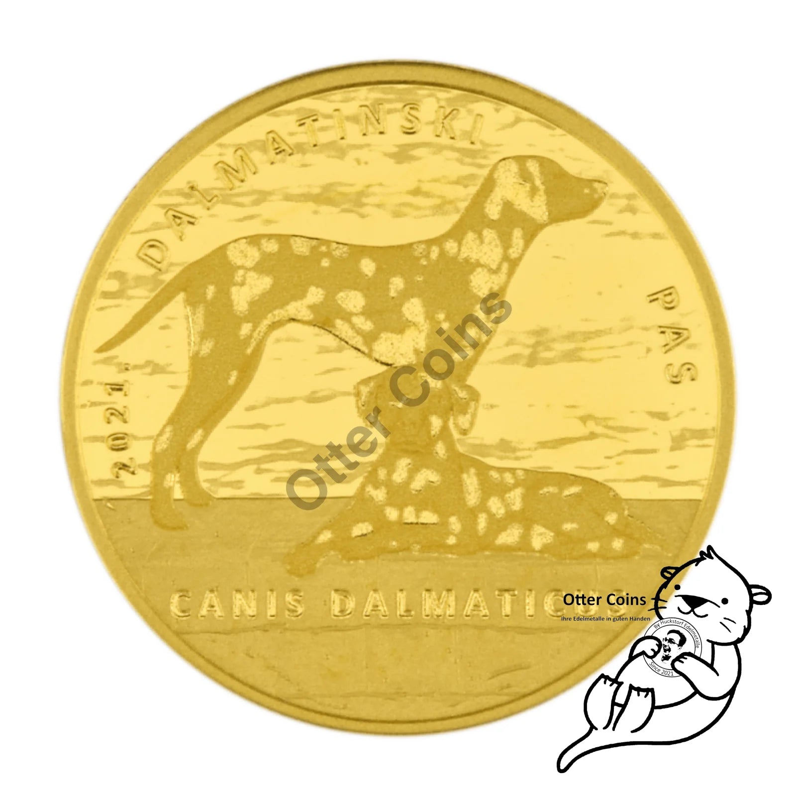 Dalmatiner Dog Authochthonous Crotias Goldmünze Kroatien